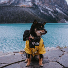Stormproof Jacket