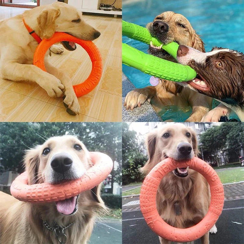 Toy Training Ring