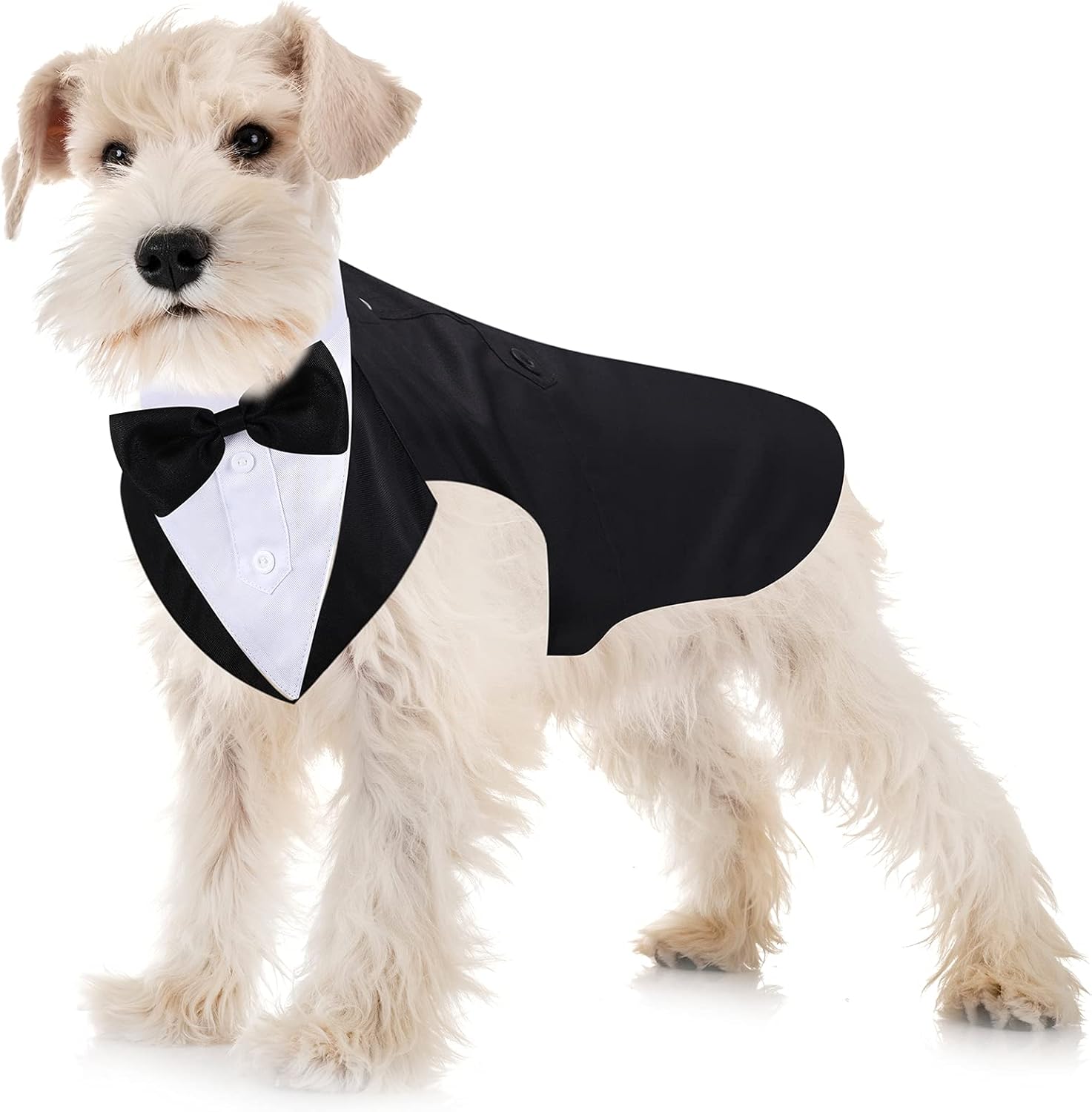Tuxedo and Bandana Suit Costumes