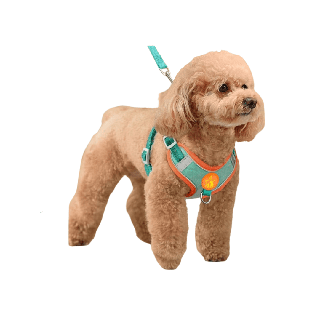 Dogs Harness Vest Walking Traction Rope Reflective Straps Soft Mesh