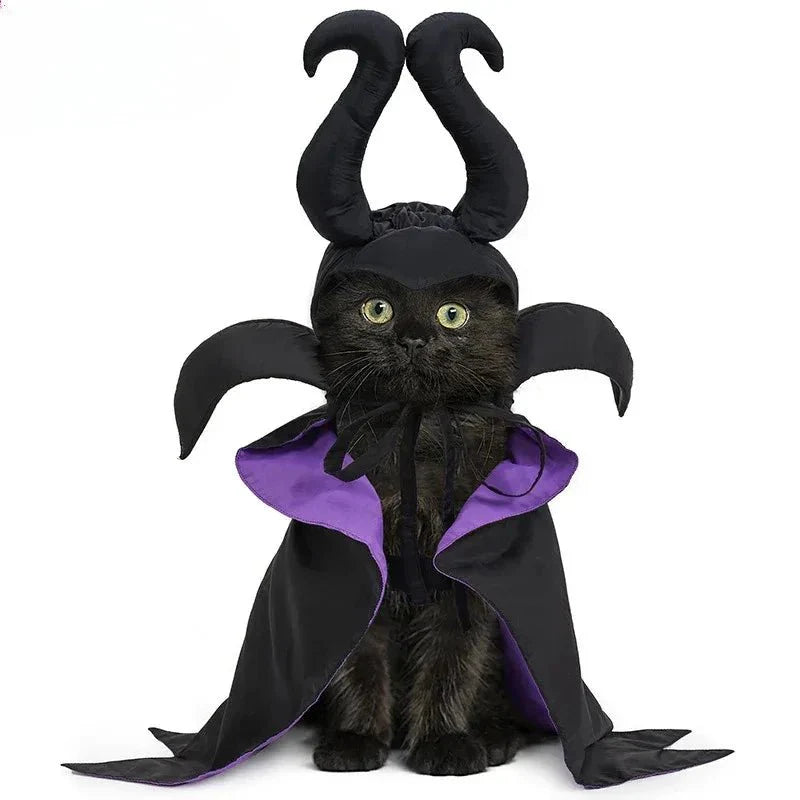Enchanting Witch Halloween Costume