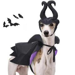 Enchanting Witch Halloween Costume