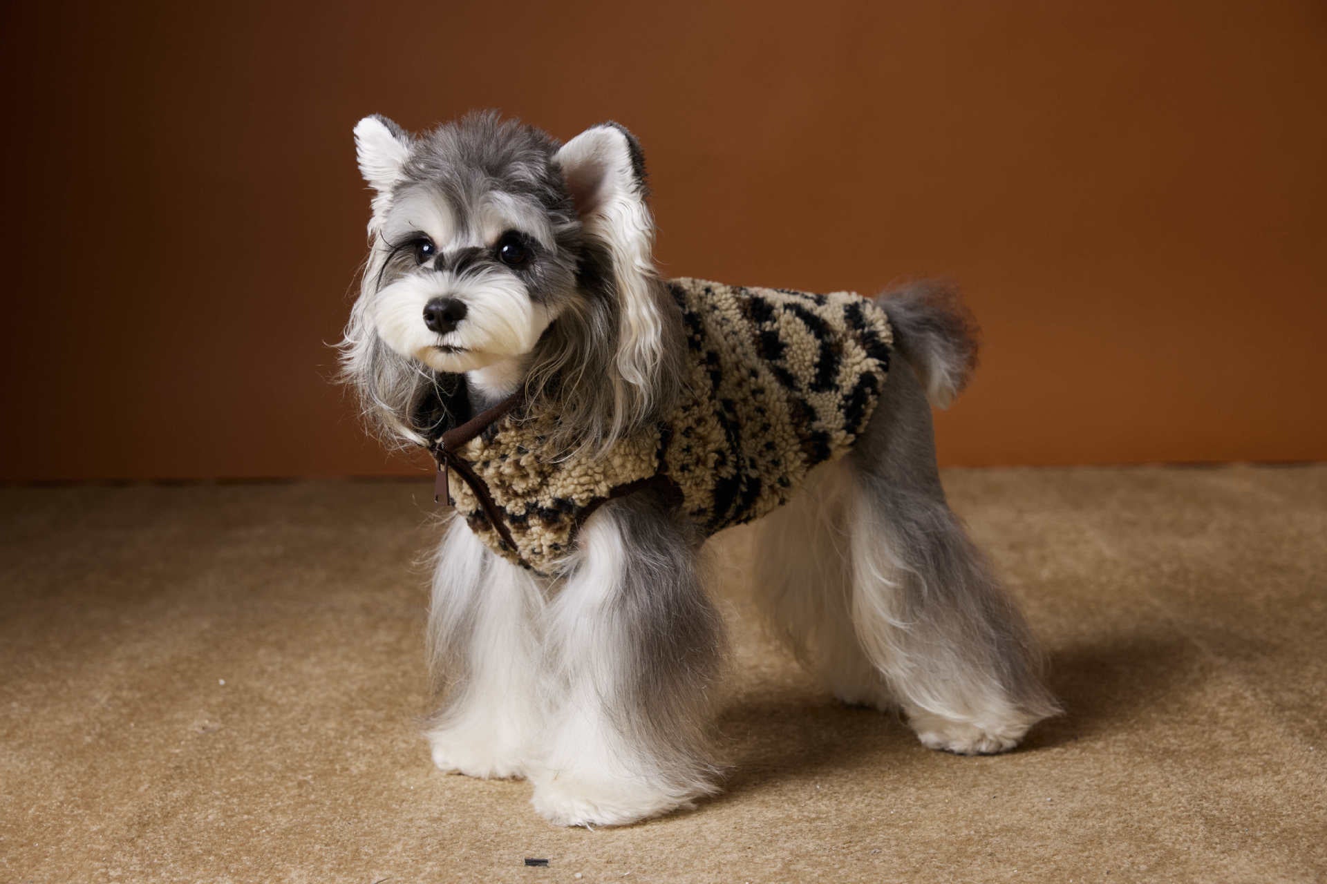 Fair Isle Sleeveless Vest – Cozy Knit Dog Sweater