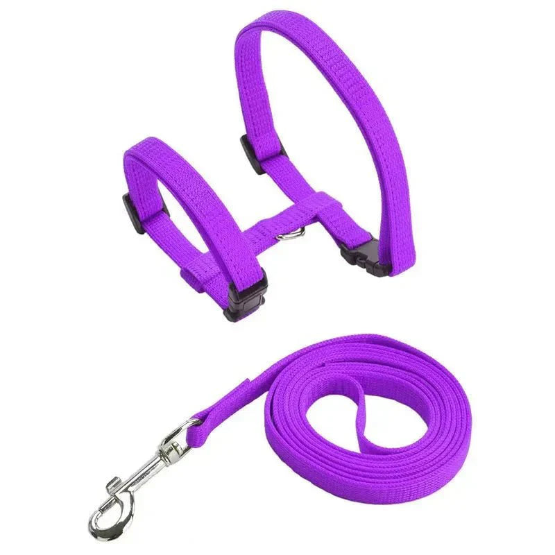 H-shaped harness with leash