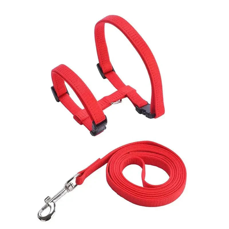 H-shaped harness with leash