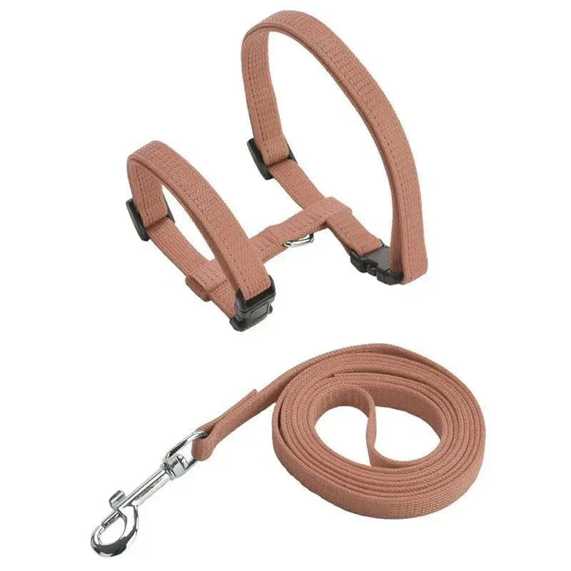 H-shaped harness with leash