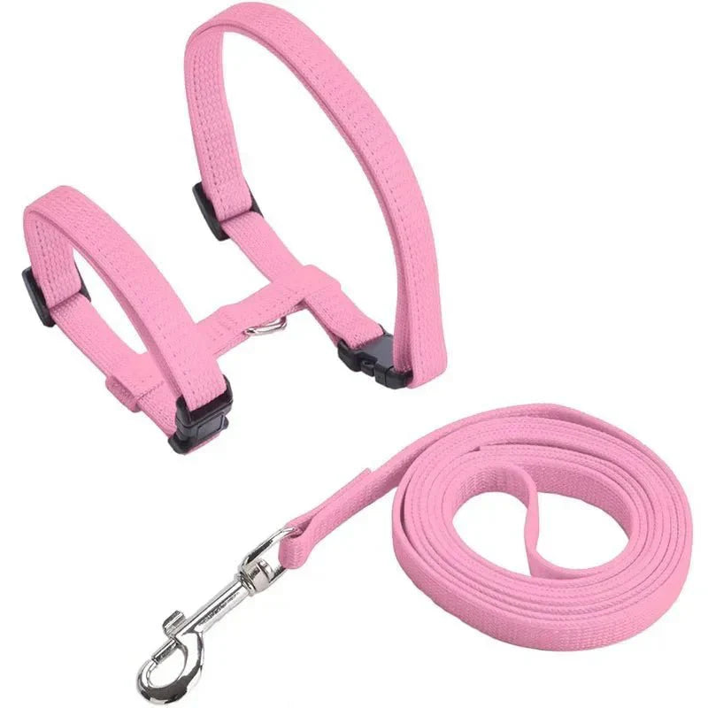 H-shaped harness with leash