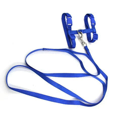 H-shaped harness with leash