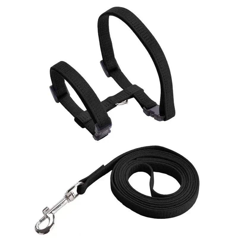 H-shaped harness with leash