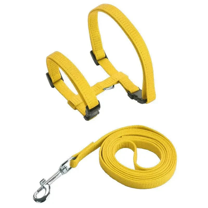 H-shaped harness with leash