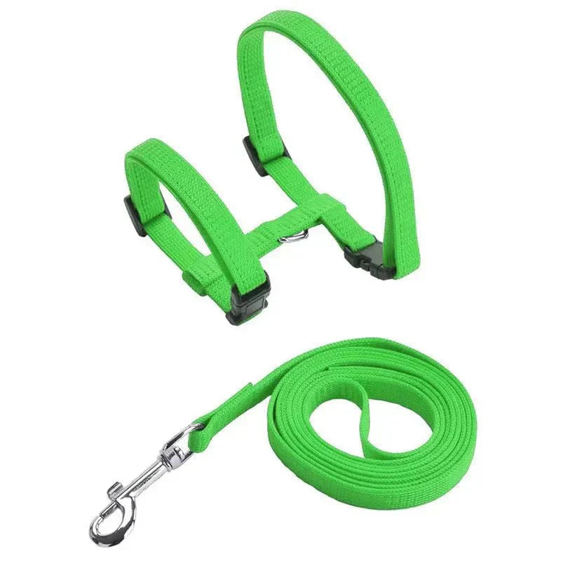 H-shaped harness with leash