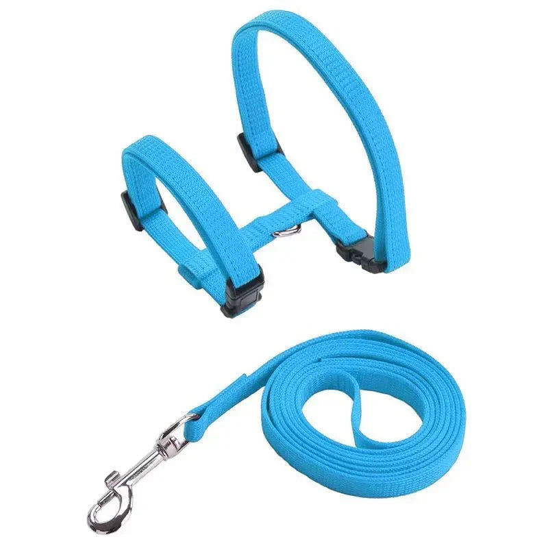 H-shaped harness with leash