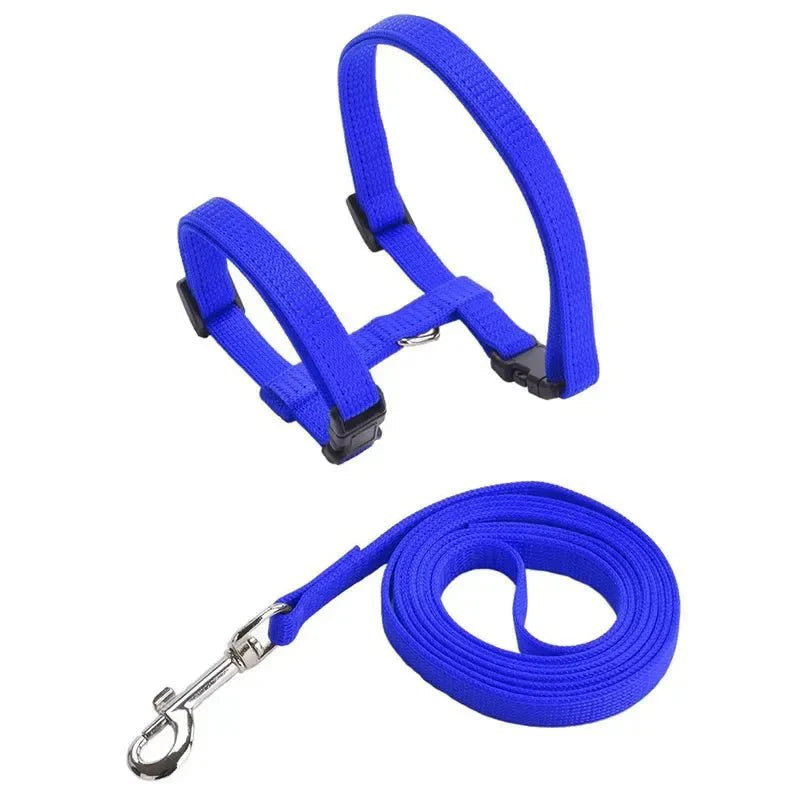 H-shaped harness with leash