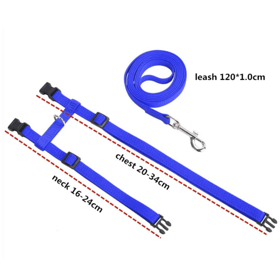 H-shaped harness with leash