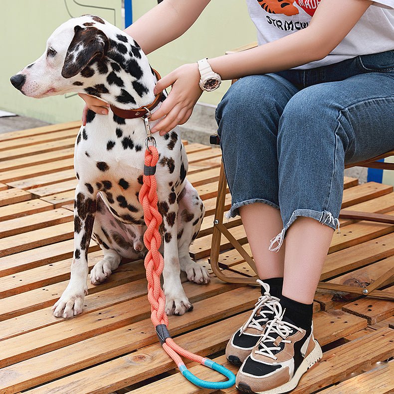 Handmade Twisted Braided Dog Leash