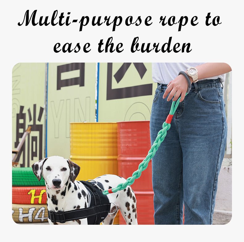 Handmade Twisted Braided Dog Leash