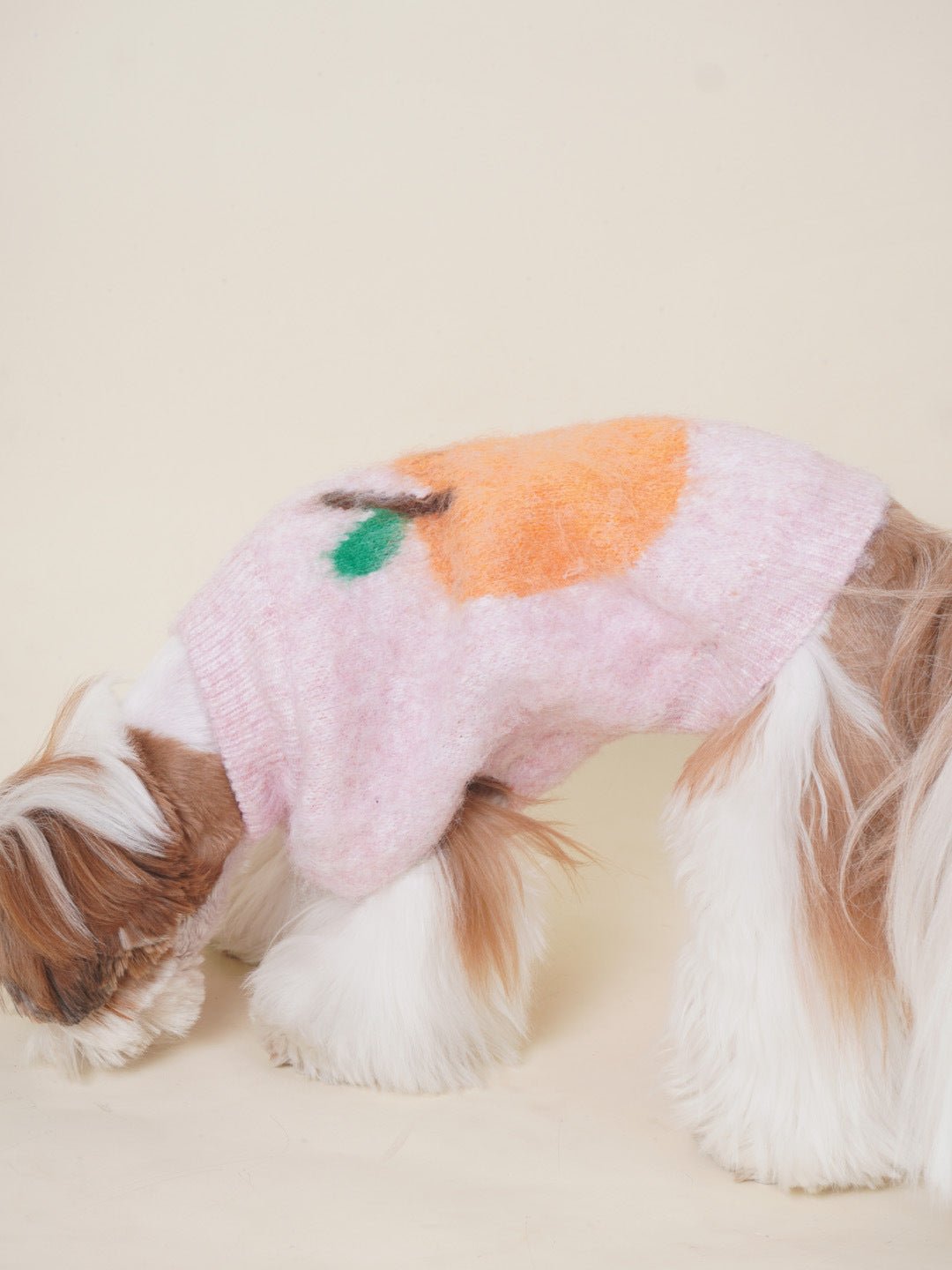 High-Neck Dog Sweater