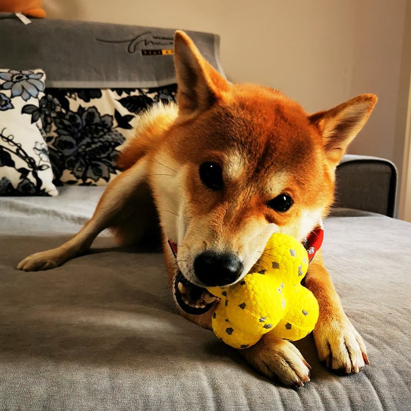 [HOT SALE] Calming durable Balls toy