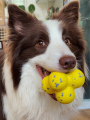 [HOT SALE] Calming durable Balls toy