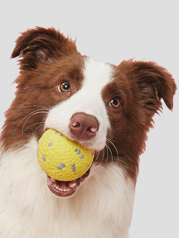 [HOT SALE] Calming durable Balls toy
