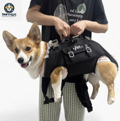 [HOT SALE] Pet Carrier Backpack