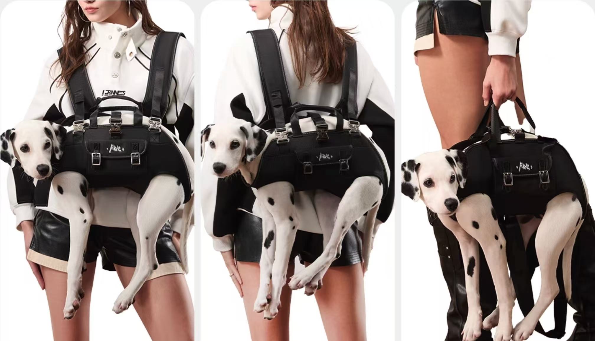 [HOT SALE] Pet Carrier Backpack