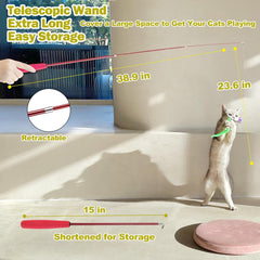 Interactive Feather Wand Cat Toy Set