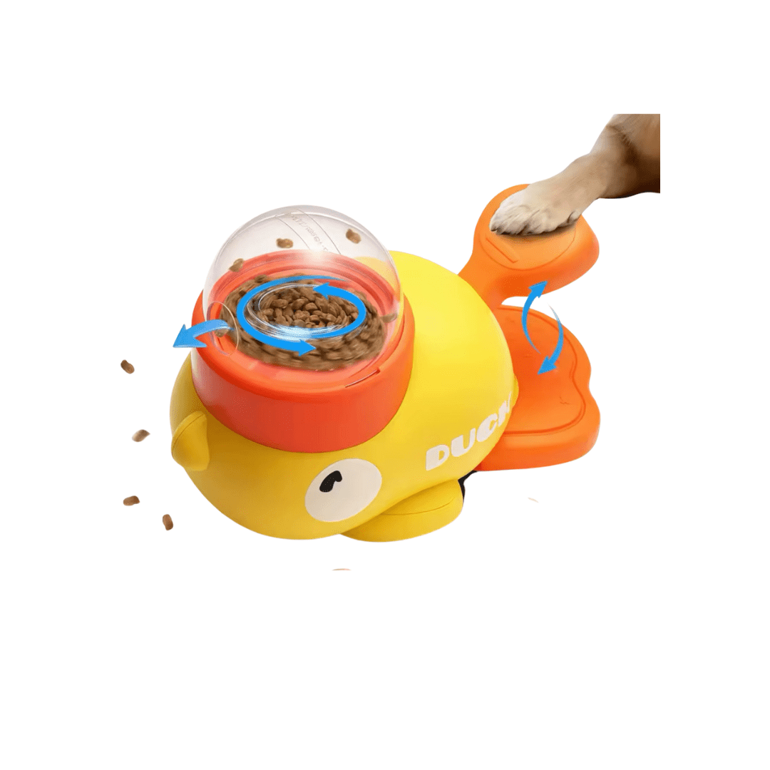 Interactive Pet Feeder