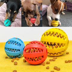 Interactive Tooth Clean Dog Ball Toy