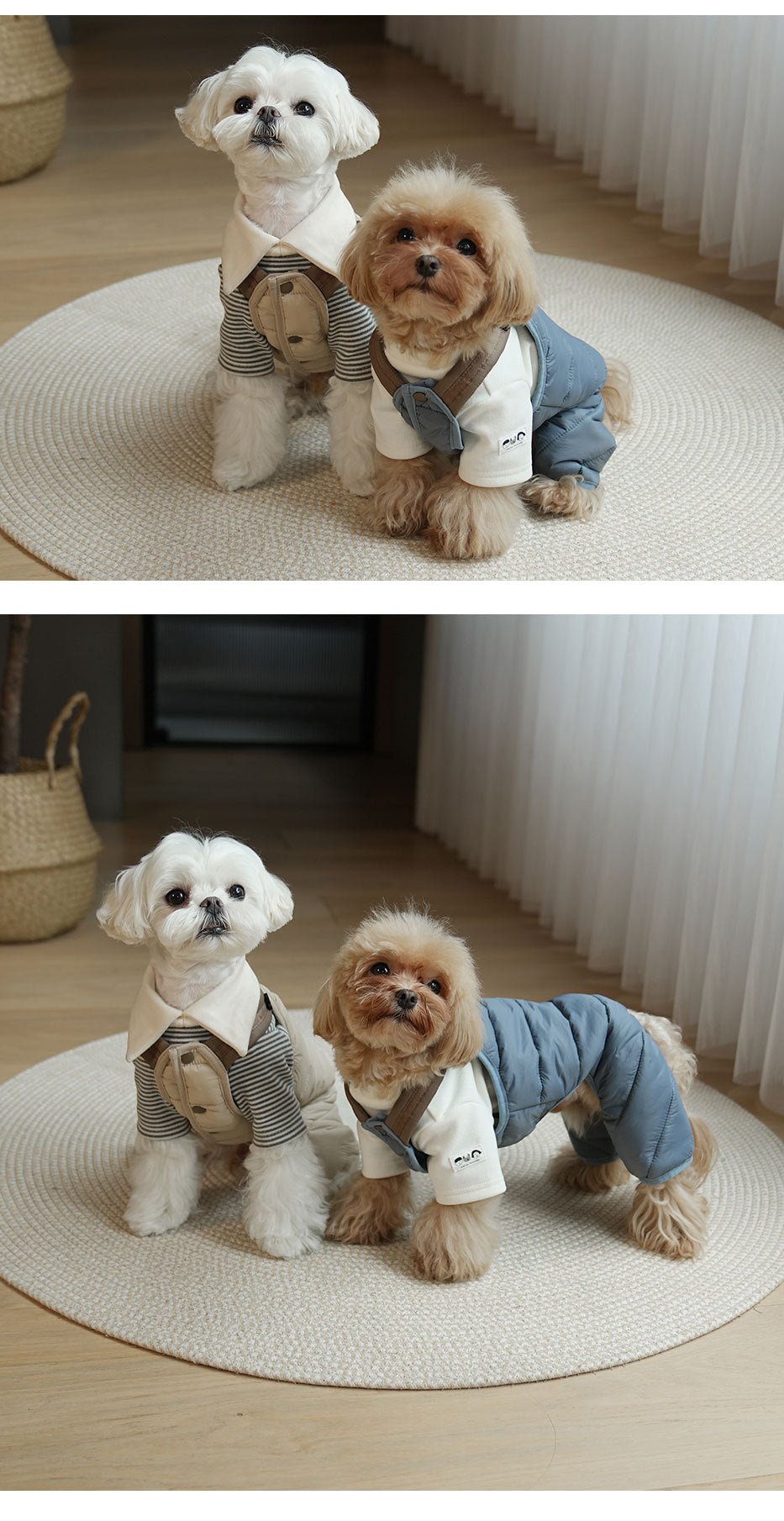 Jumpsuit - Four-Legged Harness