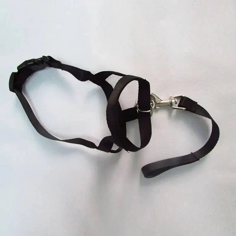 Muzzle for dogs