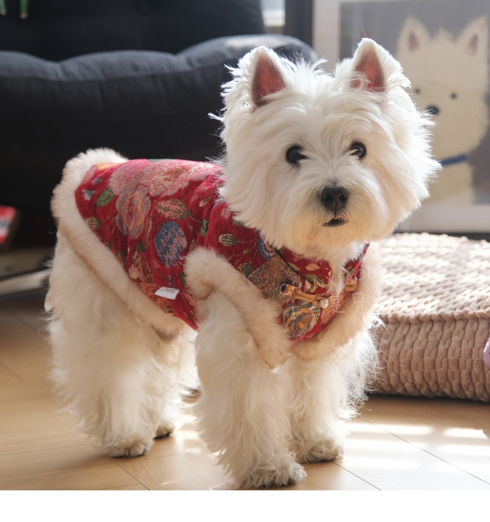 New year vest