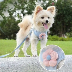 No Pull Adjustable Vest Harness and Leash Set