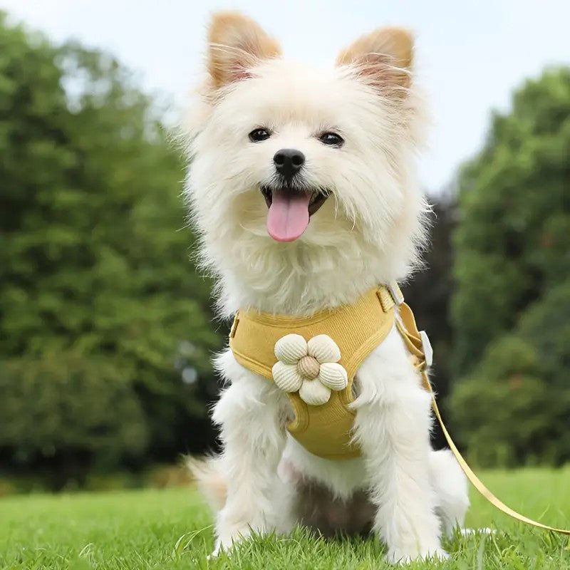 No Pull Adjustable Vest Harness and Leash Set
