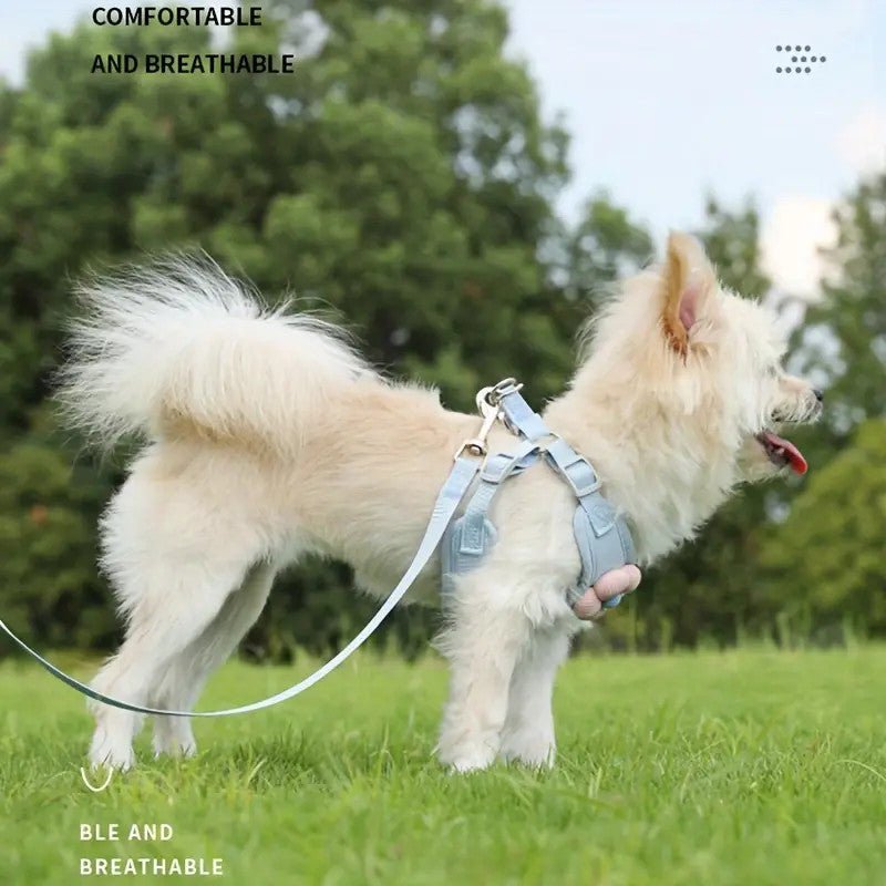 No Pull Adjustable Vest Harness and Leash Set