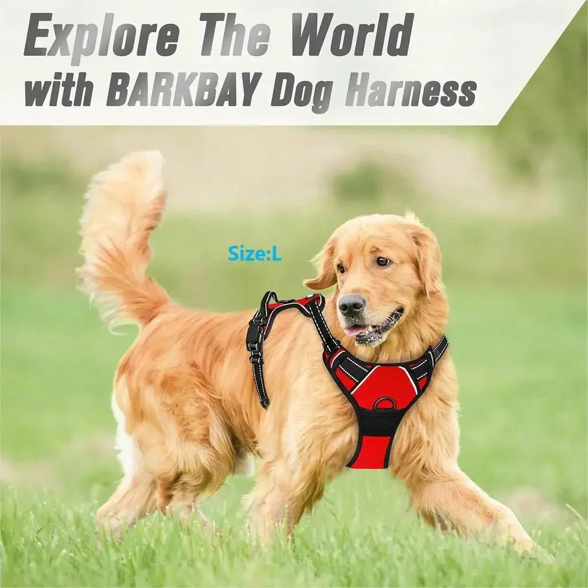 No Pull Dog Harness – For Large Dogs with Front Clip