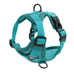 PawSecure – Harness for Dogs and Cats