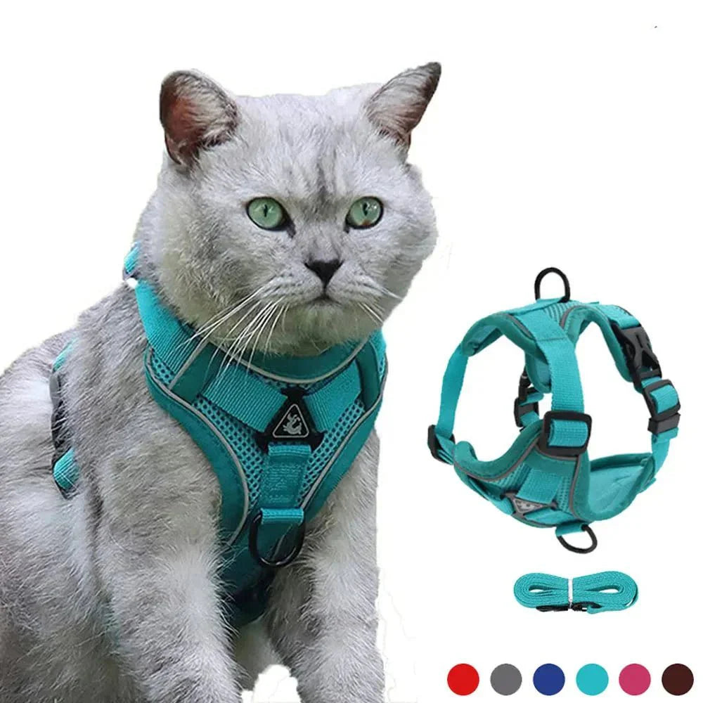 PawSecure – Harness for Dogs and Cats
