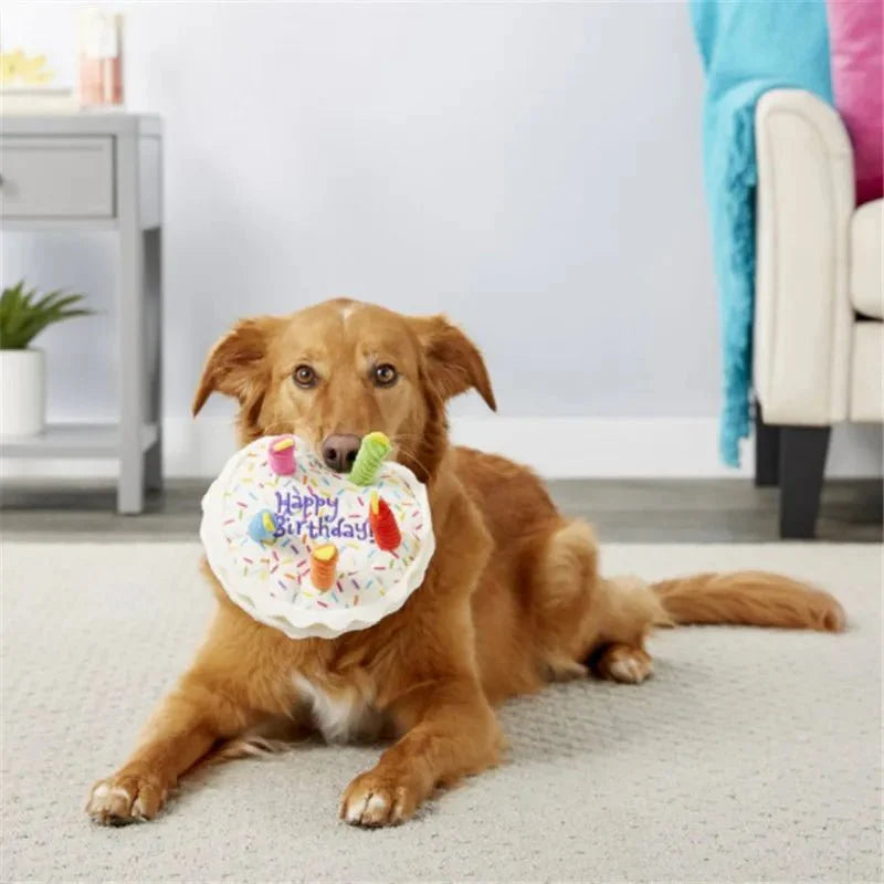 Birthday Cake Squeaky Toys