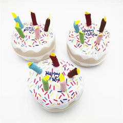 Birthday Cake Squeaky Toys