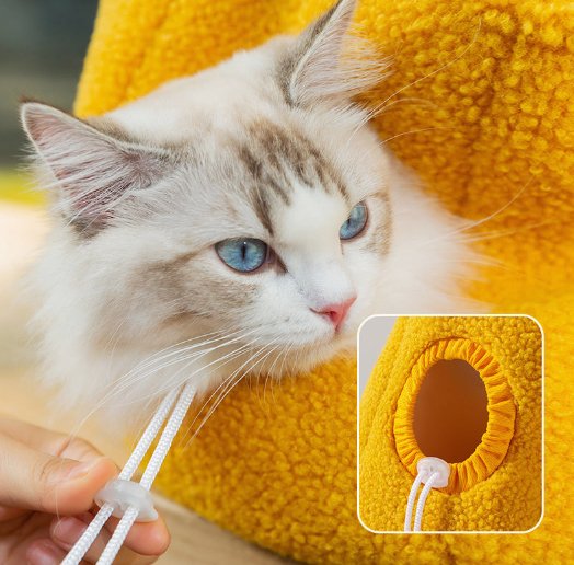 Cozy cheese carrier