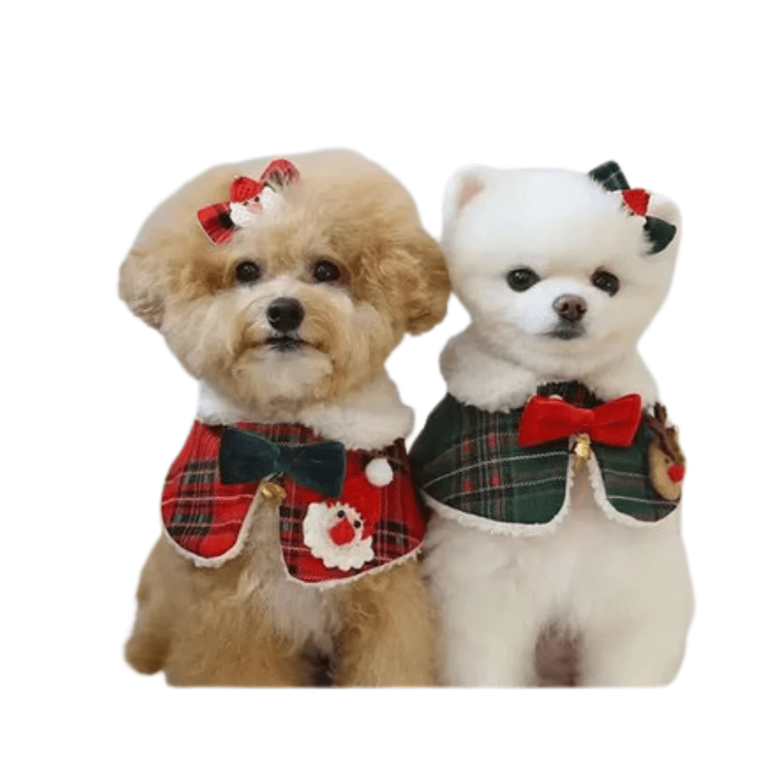 Plaid Christmas Bandana Collar