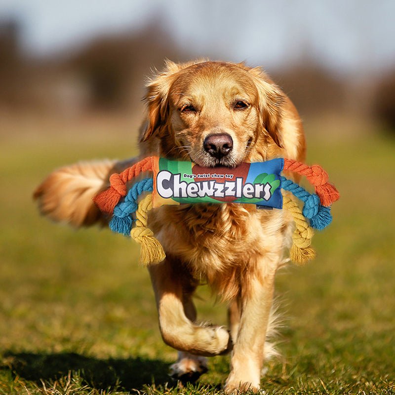 Rainbow Twist Dog Rope Toys