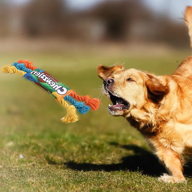 Rainbow Twist Dog Rope Toys