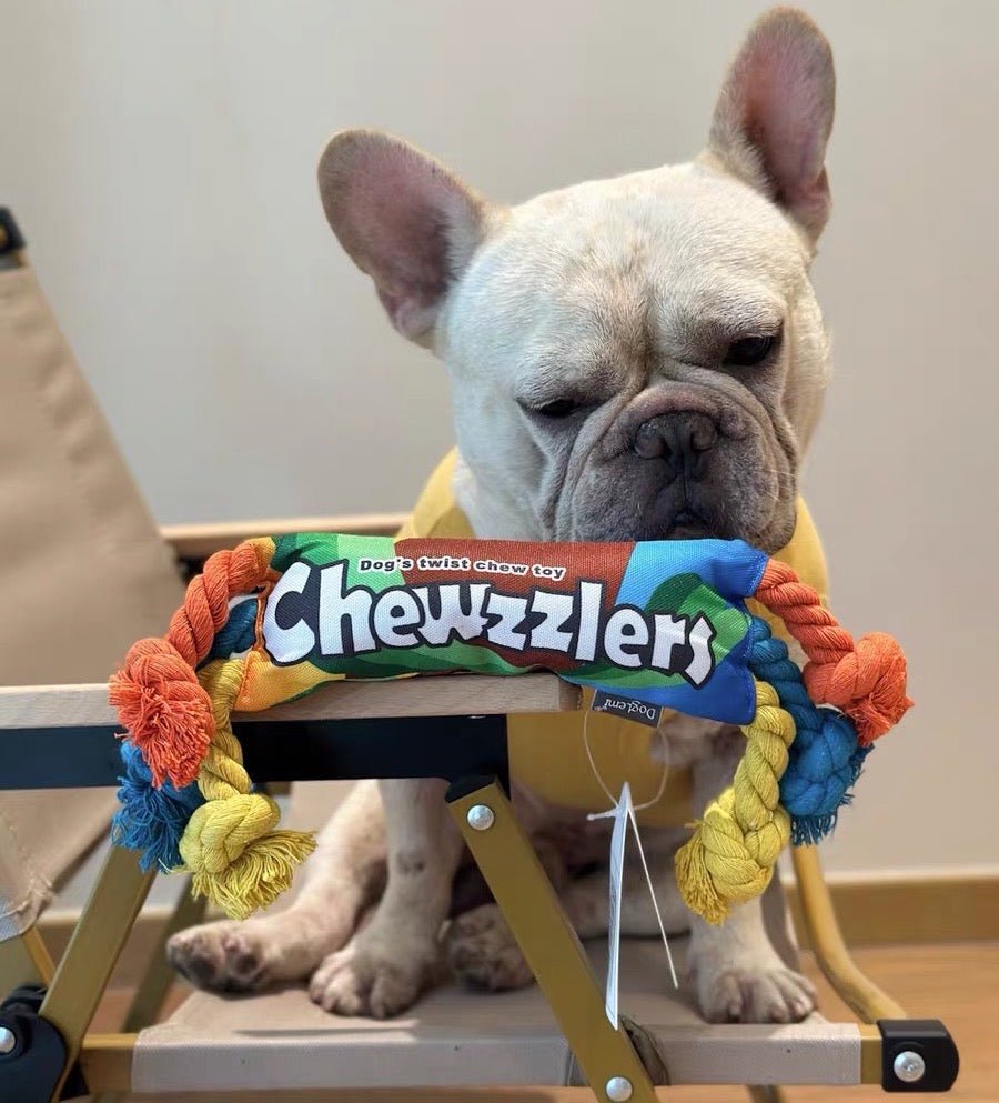 Rainbow Twist Dog Rope Toys