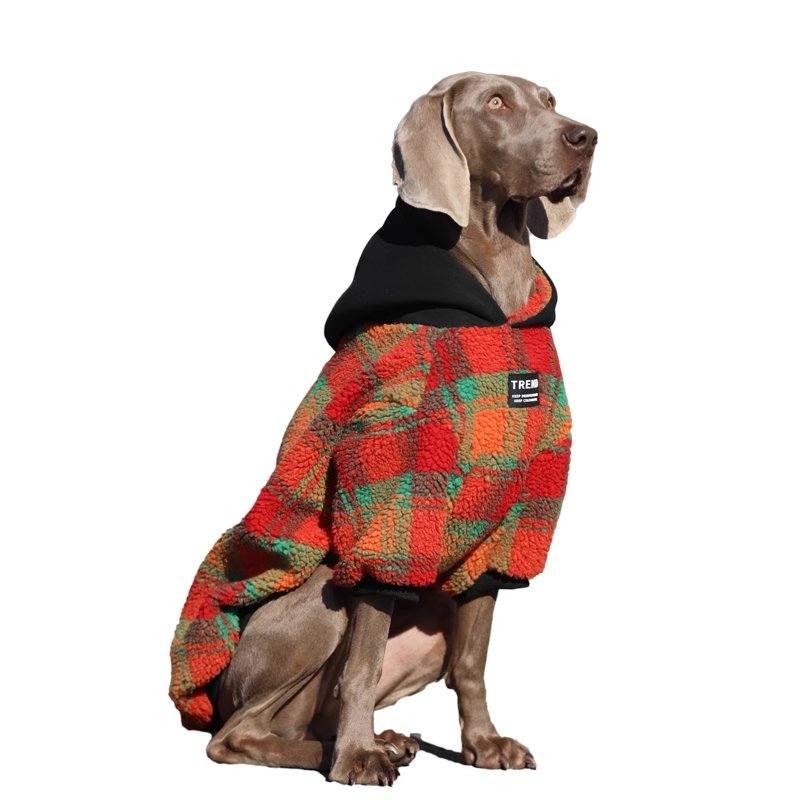 Red and Green Corduroy Dog Sweatshirt