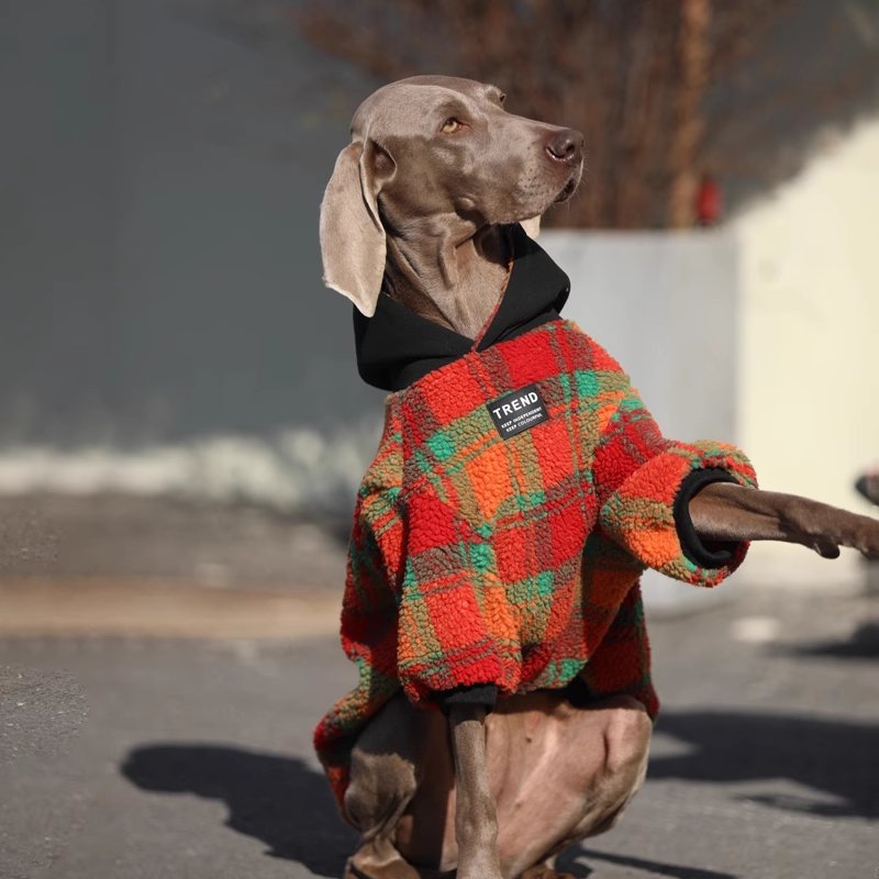 Red and Green Corduroy Dog Sweatshirt