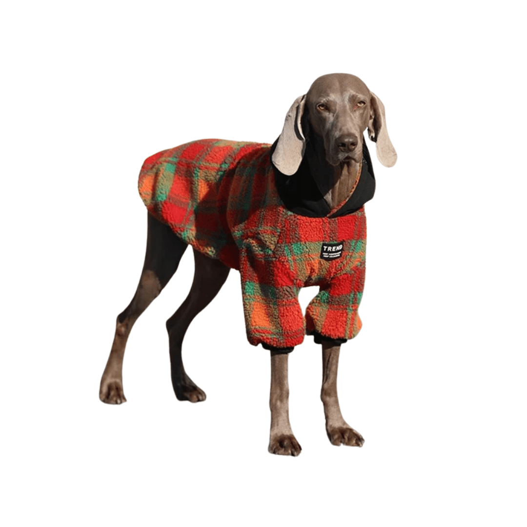 Red and Green Corduroy Dog Sweatshirt