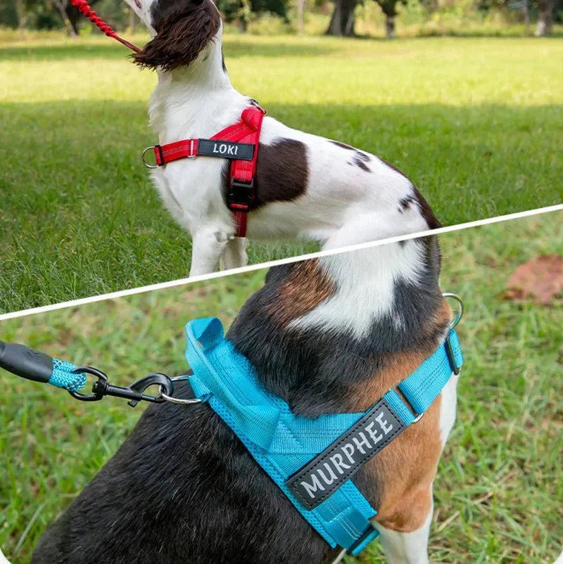 Reflective Adjustable Dog Harness – Personalized Harness for Walking