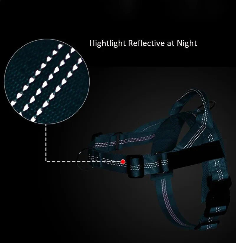 Reflective Adjustable Dog Harness – Personalized Harness for Walking